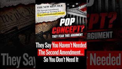 They Say You Haven’t Needed The Second Amendment… So You Don’t Need It