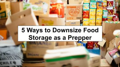 5 Ways to Downsize Food Storage as a Prepper – reThinkSurvival.com