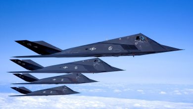 Lockheed Wanted to Put the F-117 Nighthawk on US Navy Aircraft Carriers. It Proposed 255 of Them at ,000,000 Each — Almost ,900,000,000 — and Congress Set Aside 5,000,000 Just to Study Whether It Would Work. The Navy Said No Twice.