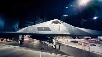 ‘Wobblin’ Goblin’: The F-117A Nighthawk Stealth Fighter Was Designed to Allow the US Air Force to ‘Secretly Penetrate Defended Airspace’