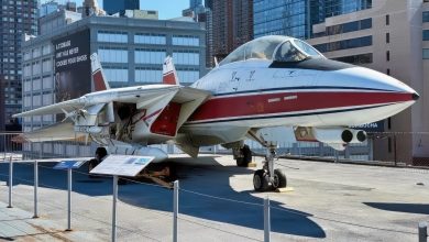 Iran Ordered 80 Made in the USA F-14 Tomcat Fighters Under the Shah and Took Delivery of 79 Before the 1979 Revolution. By 1986 Only 25 Were Still Operational. Israeli Strikes on Isfahan in March Destroyed at Least 2 More, and Nobody Outside Iran Knows Whether Any Are Still Flying.