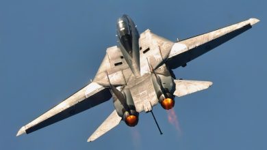 Iran Flew US Military F-14 Tomcat Fighters to War and Launched a Mach 4 Missile ‘Made in the USA’ To Destroy 78 Aircraft