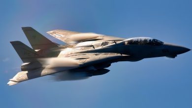 The Shah of Iran bought 79 F-14 Tomcats from the United States in 1976, three years before the revolution; after 2006 they were the last of the type still flying, the Pentagon shredded its own so parts could not reach Tehran, and this March Israel said it had destroyed the remainder on the ground at Isfahan