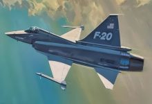 Northrop Spent More Than 0,000,000 of Its Own Money on the F-20 Tigershark Without a Dollar of Pentagon Funding. It Sold 0 Aircraft and Wrote Off About ,200,000,000.