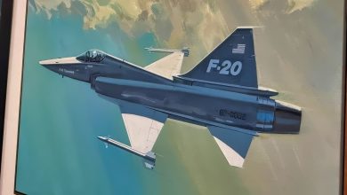 Northrop Spent More Than 0,000,000 of Its Own Money on the F-20 Tigershark Without a Dollar of Pentagon Funding. It Sold 0 Aircraft and Wrote Off About ,200,000,000.