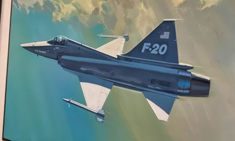 Northrop Spent More Than 0,000,000 of Its Own Money on the F-20 Tigershark Without a Dollar of Pentagon Funding. It Sold 0 Aircraft and Wrote Off About ,200,000,000.