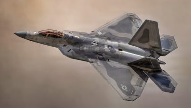 The US Air Force Built 195 F-22s Instead of 750 and Destroyed the Tooling to Make More — Now China Has Exactly the Air Force the Raptor Was Designed to Defeat The US Air Force Built 195 F-22s Instead of 750 and Destroyed the Tooling to Make More — Now China Has Exactly the Air Force the Raptor Was Designed to Defeat