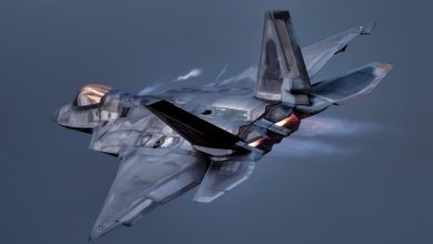 The F-22 was designed for short fights over Europe and the United States built 183 of them; the J-20 was designed for the Pacific, already numbers about 500, and China is adding roughly 120 a year — more than 800 F-35s are in service, and they still cannot reopen a Raptor line