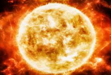 People think Earth dies when the Sun becomes a red giant in five billion years — the more likely end is a billion years from now, when a star already 30 percent brighter than at birth pushes CO₂ too low for C3 plants, then a moist greenhouse strips the oceans of hydrogen and leaves a sterile Venus