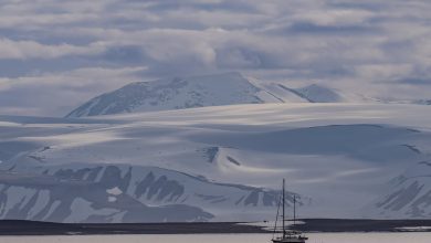 NATO allies foil Russian subsea cable sabotage plot