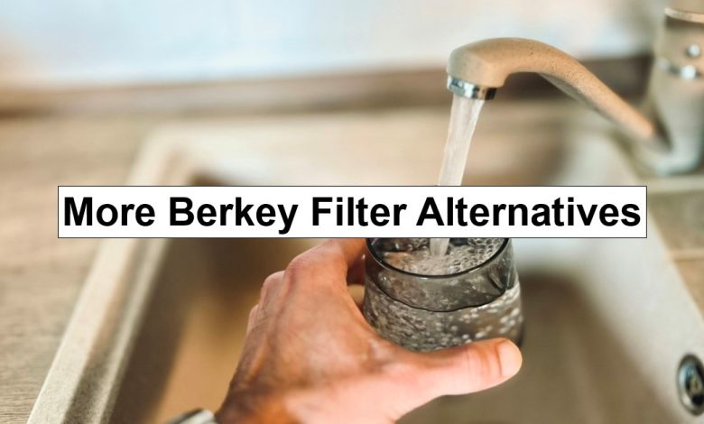 More Berkey Filter Alternatives – reThinkSurvival.com
