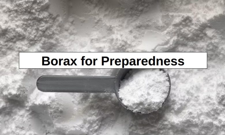 Borax for Prepping (16 Uses) – reThinkSurvival.com