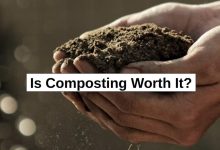 Is Composting Worth It? – reThinkSurvival.com