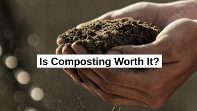 Is Composting Worth It? – reThinkSurvival.com