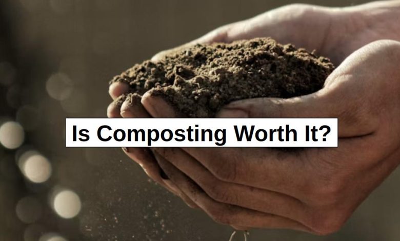 Is Composting Worth It? – reThinkSurvival.com