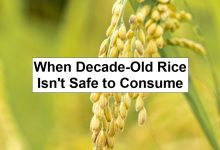 When Decade-Old Rice Isn’t Safe to Consume – reThinkSurvival.com