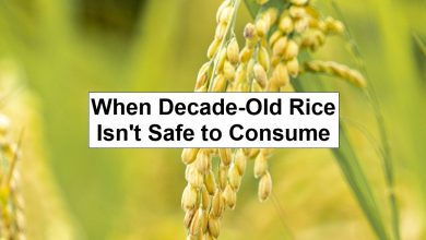 When Decade-Old Rice Isn’t Safe to Consume – reThinkSurvival.com When Decade-Old Rice Isn’t Safe to Consume – reThinkSurvival.com