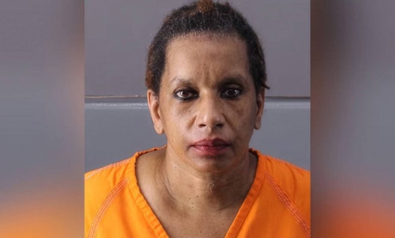Woman ‘Snapped’ and Murdered Veteran, 64, Shooting Him Three Times