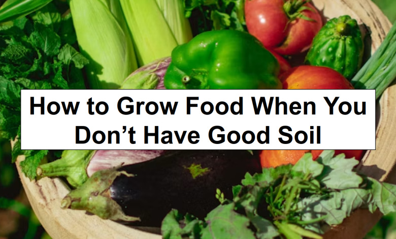 How to Grow Food When You Don’t Have Good Soil – reThinkSurvival.com