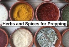 Herbs and Spices for Prepping – reThinkSurvival.com