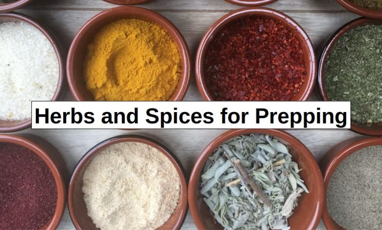 Herbs and Spices for Prepping – reThinkSurvival.com