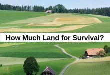 How Much Land for Survival? (My Answer Surprised Me) – reThinkSurvival.com