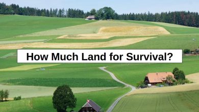 How Much Land for Survival? (My Answer Surprised Me) – reThinkSurvival.com