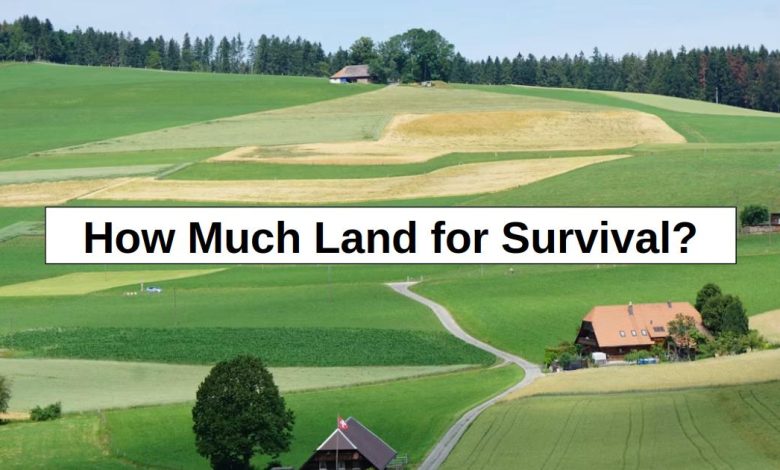 How Much Land for Survival? (My Answer Surprised Me) – reThinkSurvival.com