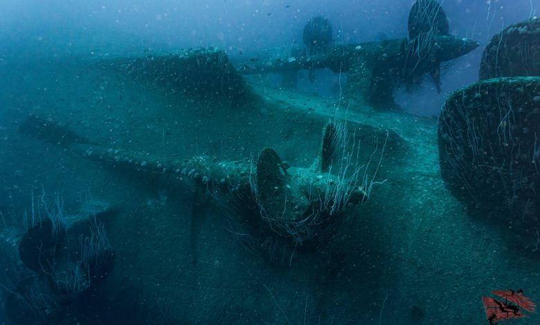 Bikini Atoll’s Sunken ‘Ghost Fleet’ 80 Years After Nuclear Tests Bikini Atoll’s Sunken ‘Ghost Fleet’ 80 Years After Nuclear Tests