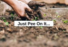 Just Pee On It… – reThinkSurvival.com