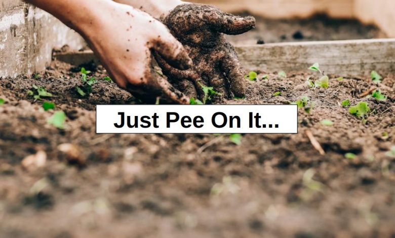 Just Pee On It… – reThinkSurvival.com
