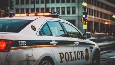 Disabled Female Veteran, 69, Financially Defrauded for 0,000: Police